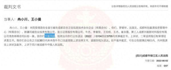 川商小贷逾期6年，锂矿 200万吨 配图06