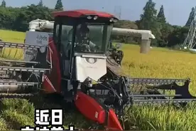 全网赞！“浙”个9岁小学生超“硬核”：穿着足球服田里忙插秧……图片