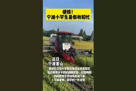 全网赞！“浙”个9岁小学生超“硬核”：穿着足球服田里忙插秧……图片