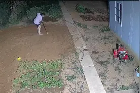 女白领晚上独自种地3小时走红，当事人：晚上凉快，乐在其中图片