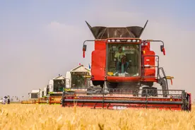 驻马店邮政：丰年“邮”保障 助农“邮”收获图片