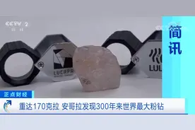 300年来最大粉钻面世，重达170克拉！此前59.6克拉粉钻拍出4.8亿元图片