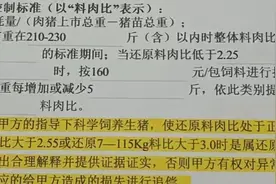 正邦科技被曝“猪吃猪”现象背后，代养户：两个月自费近40万买饲料后，选择报警卖猪图片