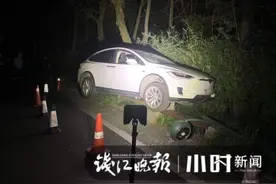 坐在副驾驶能使用自动辅助驾驶吗？多位特斯拉车主表示：不可能图片