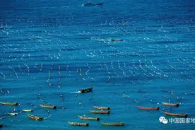 海滨城市真不少，发家致富方法妙图片