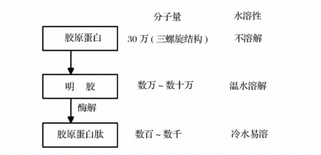 国药集团胶原蛋白肽效果好不好 2025年国药准字的胶原蛋白有哪些品牌