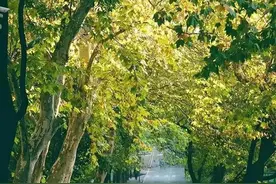 铁道往事：那些消失了的“风景”图片