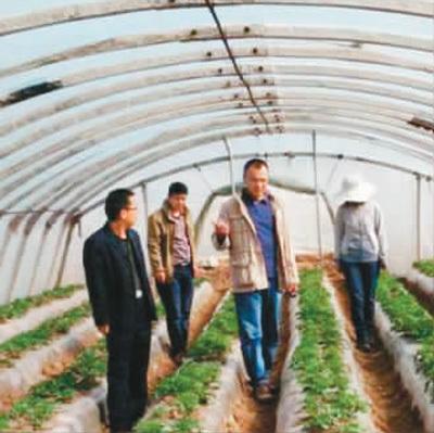 高原种业科技让土豆变“金豆”