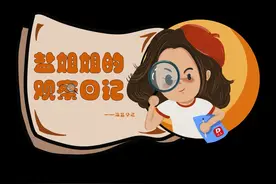 让归途成坦途|盐姐姐的观察日记㊹图片