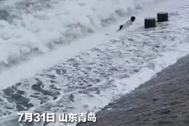 惊险！一个浪头打来，25岁游客差点被“吃掉”！厦门这张“地图”一定要看图片