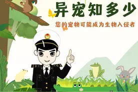 【动植物检疫】异宠知多少图片