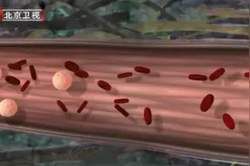 好胆固醇越高、坏胆固醇越低，身体越好？坦言：当心癌症、脑出血、死亡风险更高图片