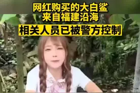 网红曾称所购大白鲨为人工养殖，专家：国内无人工养殖大白鲨图片