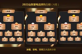 商言快语丨山东家电品牌热力榜首发 涵盖冰箱彩电空调等六大品类图片