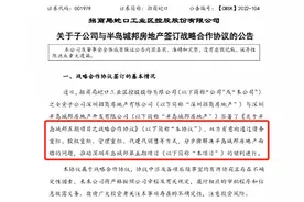 深圳网红豪宅盘迎强援，半岛城邦第五期开工有望？图片