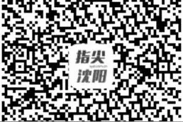 “东北好大哥”水上救援队 救下落水女子图片