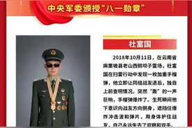军队最高荣誉“八一勋章”图片