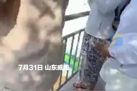 山东威海一小孩拖鞋掉入猩猩园 猩猩将鞋子物归原主图片