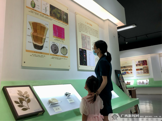 ������ ����һ��ح�������Ļ����ݿ�չ�ḻ������ջ