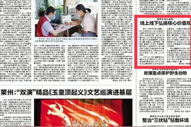《烟台日报》关注莱州市虎头崖镇线上线下弘扬核心价值观图片