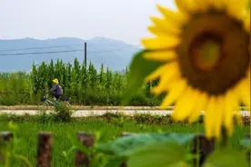 “90后”女孩宫希希的生态农业梦视频封面