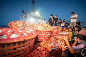 江浙沪休渔期结束渔船出海一天可捕上万斤，各种海鲜已运往各地图片