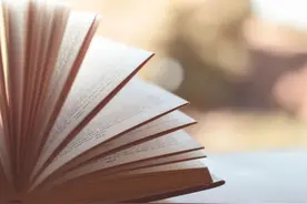 法官手记 | 服务大局 平等保护 向世界传播中国法治好声音图片