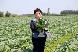 山东好人柴庸琴：用良心种菜，用诚信树牌图片