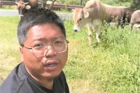 小伙赴疆带货因“背景太假”走红 一夜涨粉40万 卖蜜被蜂子蜇伤数百次图片