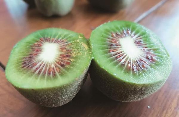 三明尤溪：红心猕猴桃迎来丰收季