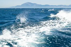 台海观澜 |“台海三十六时辰”之四大看点图片