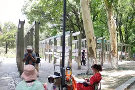 什么人还去公园相亲角？有家长称有弟弟的坚决不要，有人脱单成功相信缘分图片