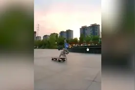 半岁雪纳瑞犬玩滑板引围观，主人：教一周就会了图片