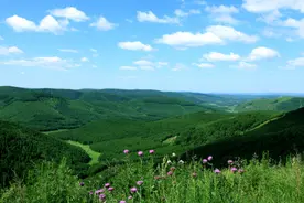 世界最大人工林！塞罕坝建起“绿色长城”守护京津冀生态安全图片