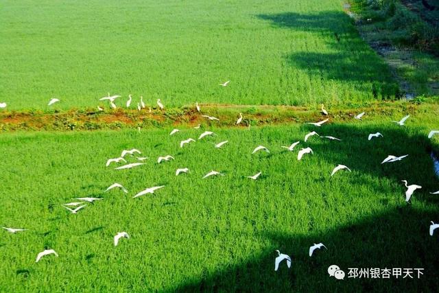 ����֮�����������벻��