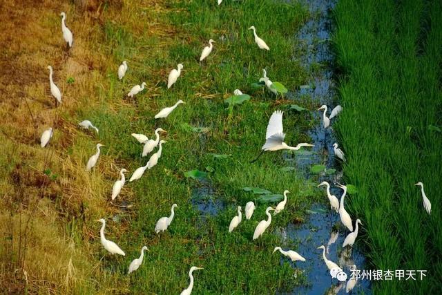 ����֮�����������벻��