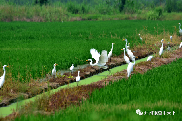 ����֮�����������벻��