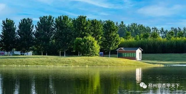 ����֮�����������벻��