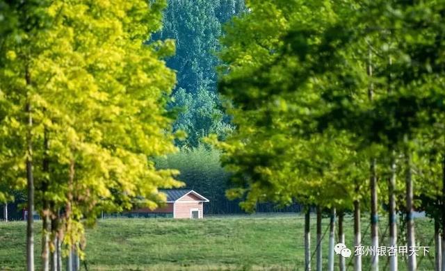 ����֮�����������벻��