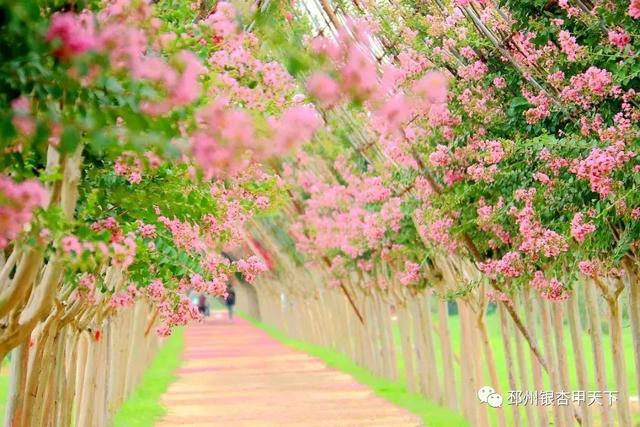 ����֮�����������벻��