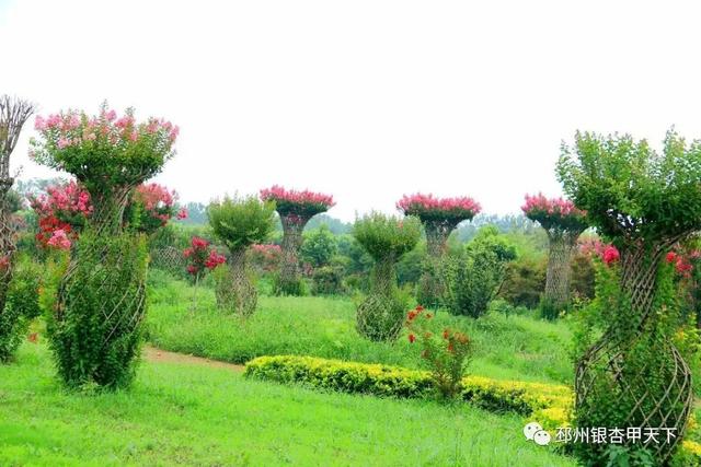 ����֮�����������벻��