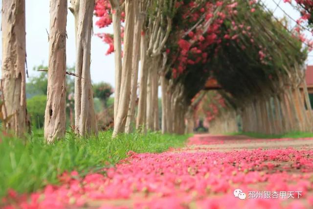 ����֮�����������벻��