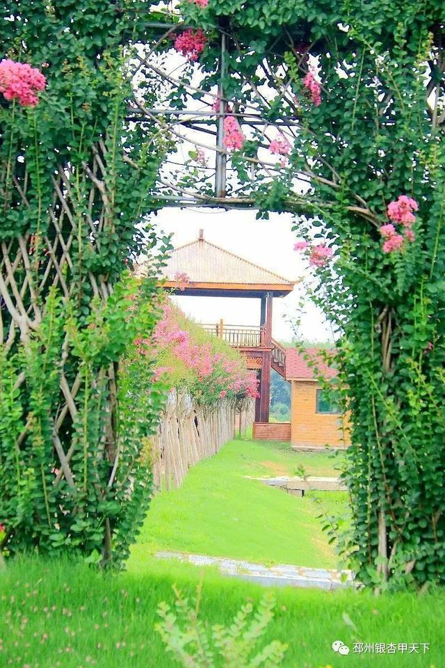 ����֮�����������벻��