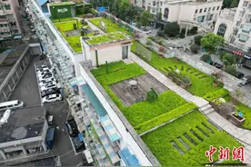 成都一老旧小区楼顶变1100平方米“共享空中花园”图片