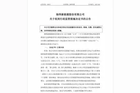 存在内控监管薄弱等问题，珈伟新能发布半年报前日被监管约谈图片