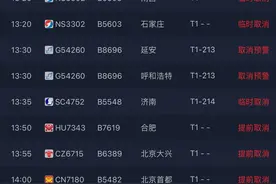 三亚航班取消率80%以上，返程机票价格暴涨图片