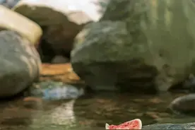 景美人少空气好！青岛这些小众“避暑秘境”，清凉又好玩！图片