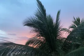 三亚：戛然而止的假期图片