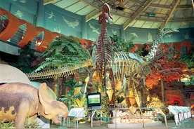 有恐龙几十天就要换一次牙，有恐龙下的蛋成双成对围成圈图片