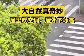 上海突降冰雹洞穿菜市场顶棚，当地居民：为拍视频头被砸个包图片